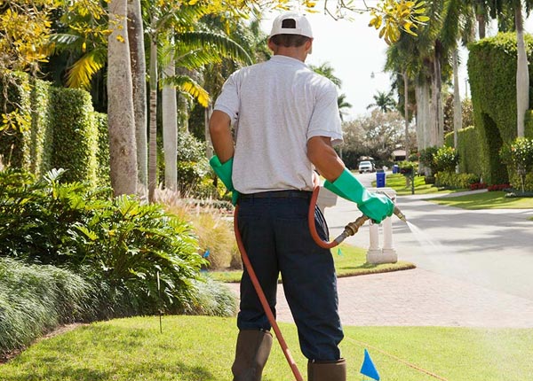 About Vona CO Pest Control Pros